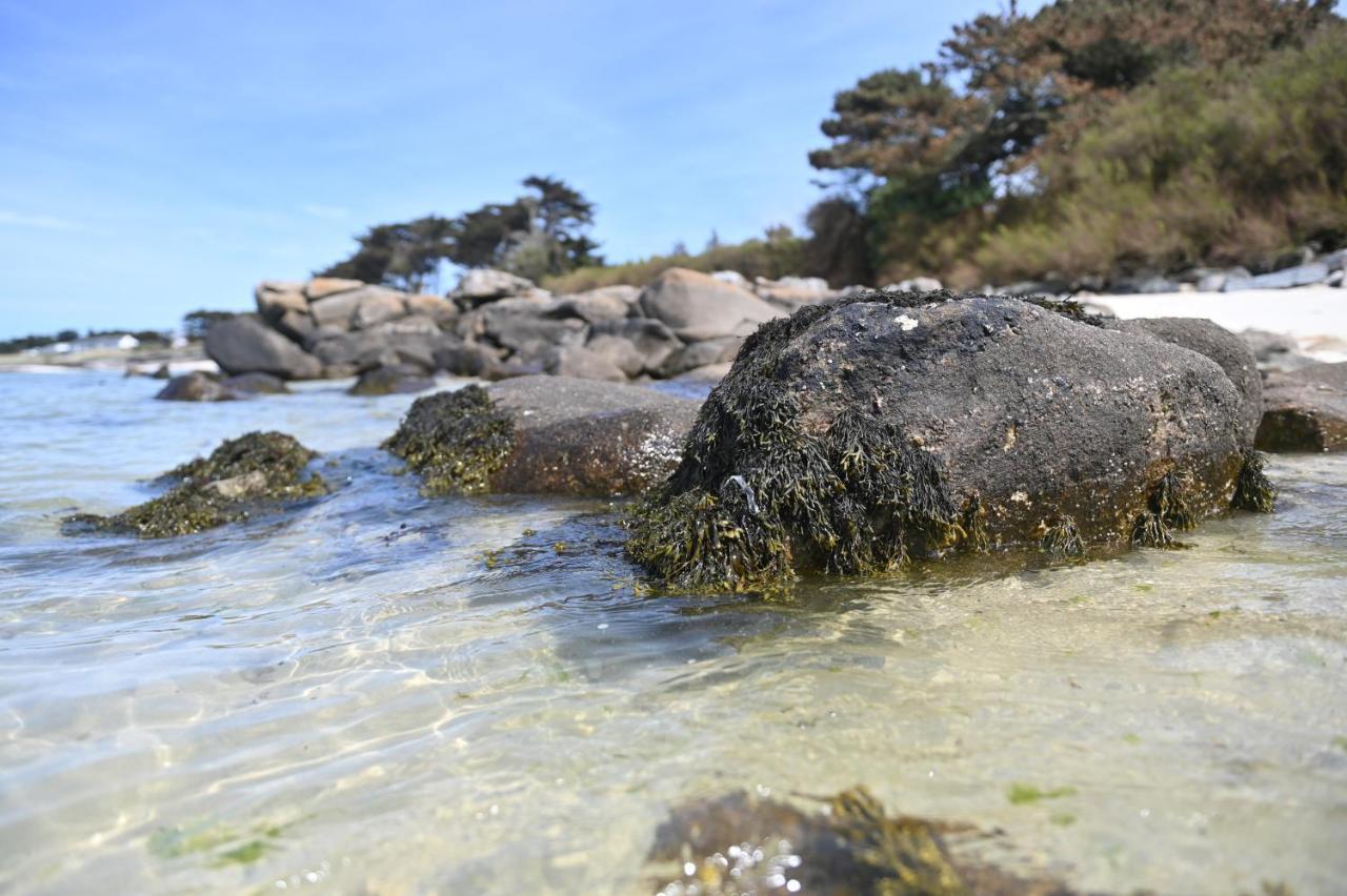 Entre Terre et Mer Plougoulm Eksteriør billede
